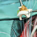 insertion of valve prothesis during surgery