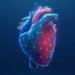 3d Illustration of Heart