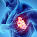 3d rendering of a male chest with heart highlighted in red.