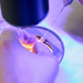Reproductology laboratory assistant adding special drops with capillary holder