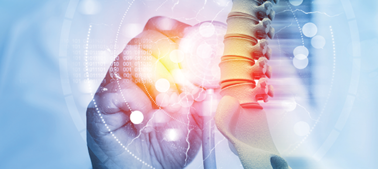 Doctor check and diagnose the human spine on blurred background