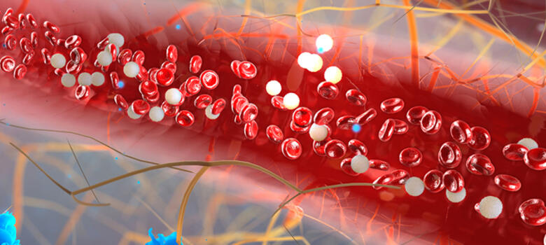 Cholesterol molecules